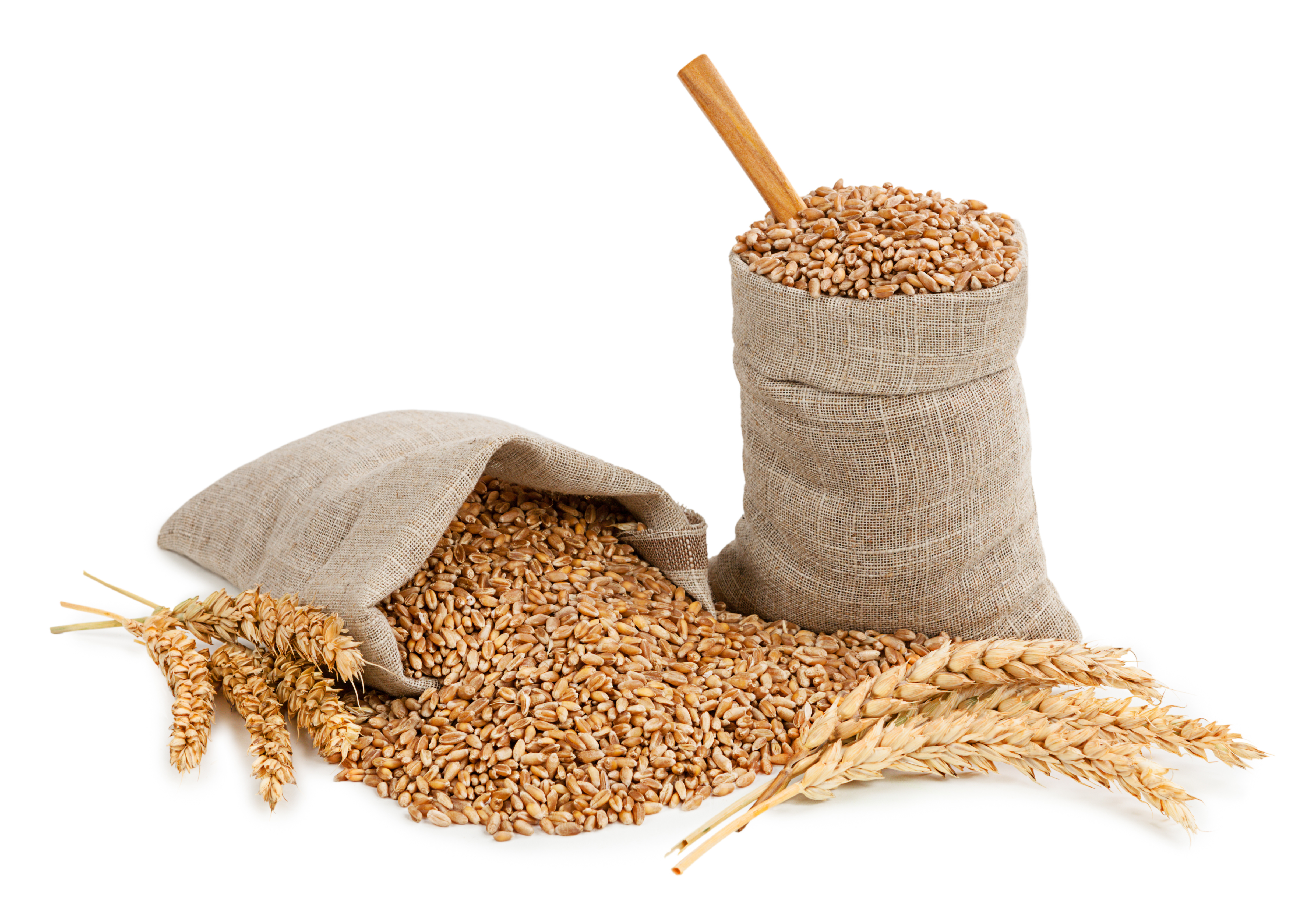 whole-grains-high-fiber